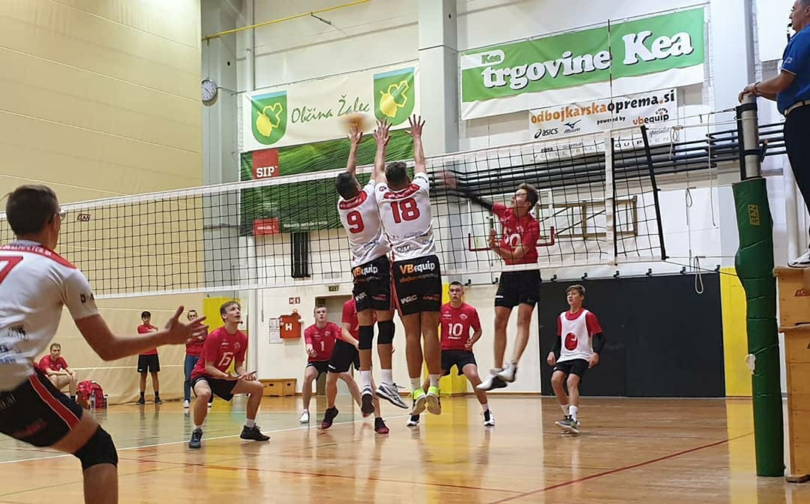 TPV Volley
